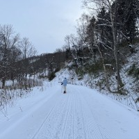 【更新】寒流來在哪追雪？陽明山、大屯山能看嗎？四位專家報你知